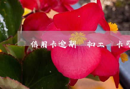 信用卡逾期劃扣工資卡可以協(xié)商嗎