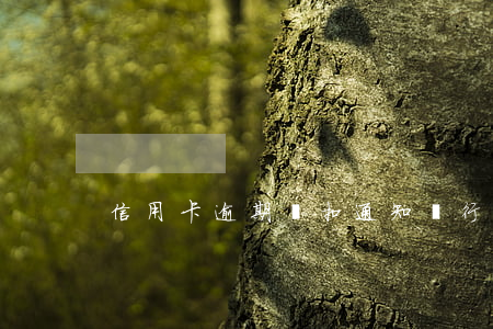 信用卡逾期劃扣通知(銀行卡逾期扣款)