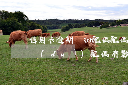 信用卡逾期劃扣配偶(配偶惡意逾期還信用卡,對(duì)配偶有影響嗎)