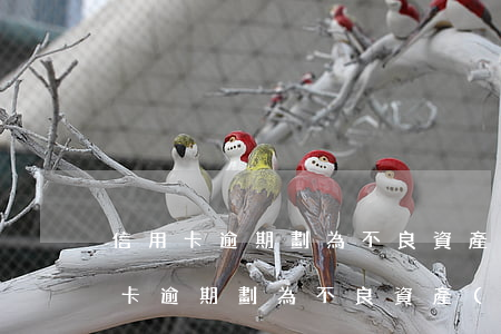 信用卡逾期劃為不良資產(chǎn) 信用卡逾期劃為不良資產(chǎn)是什么