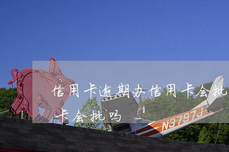 信用卡逾期办信用卡会批吗(当前逾期办信用卡会批吗?)