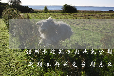 信用卡逾期办好减免分期怎么备注-信用卡逾期办好减免分期怎么备注呢