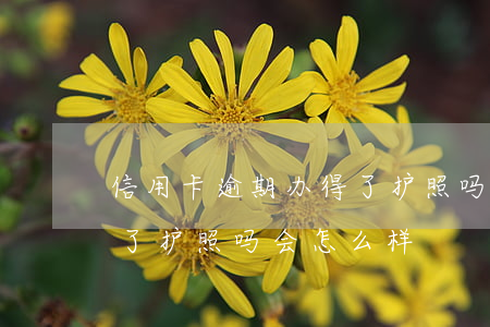 信用卡逾期办得了护照吗-信用卡逾期办得了护照吗会怎么样