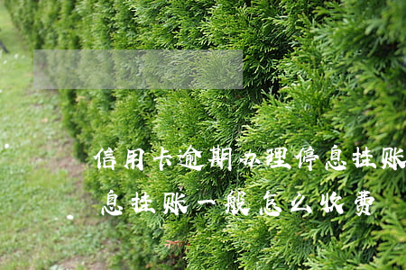 信用卡逾期办理停息挂账(信用卡逾期办理停息挂账一般怎么收费)