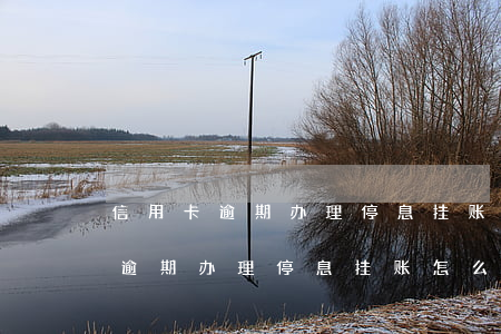 信用卡逾期办理停息挂账怎么办理-信用卡逾期办理停息挂账怎么办理的