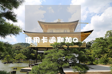 信用卡逾期加Q