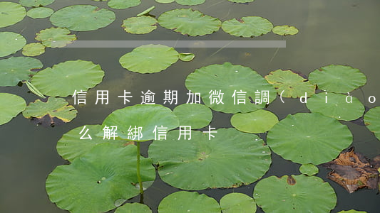 信用卡逾期加微信調(diào)解(微信怎么解綁信用卡)