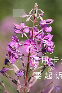 信用卡逾期加微信说提起诉讼 微信贷逾期说要起诉