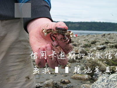 信用卡逾期加我微信(信用卡逾期加我微信要去我們戶籍地,是真是假)