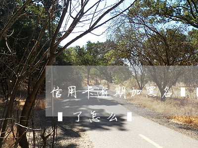 信用卡逾期加黑名單嗎(欠信用卡被列入黑名單了怎么辦?)