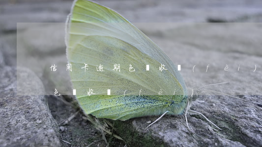 信用卡逾期包裝收費(fèi)（信用卡逾期包裝收費(fèi)）