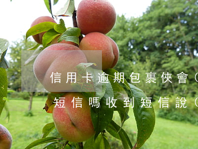 信用卡逾期包裹俠會(huì)發(fā)短信嗎(收到短信說(shuō)信用卡逾期)