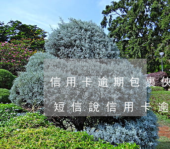 信用卡逾期包裹俠會發(fā)短信嗎(收到短信說信用卡逾期)