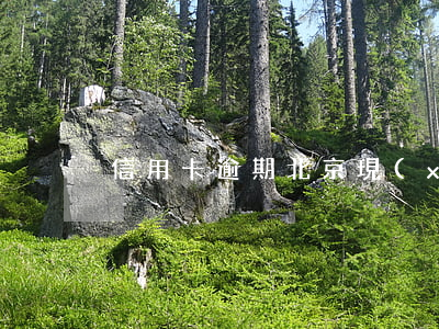 信用卡逾期北京現(xiàn)代