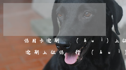 信用卡逾期匯會(huì)上征信嗎(信用卡逾期上征信銀行會(huì)通知嗎)