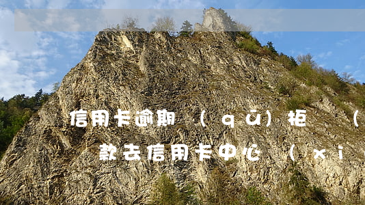 信用卡逾期區(qū)柜臺協(xié)商還款(去信用卡中心協(xié)商還款)