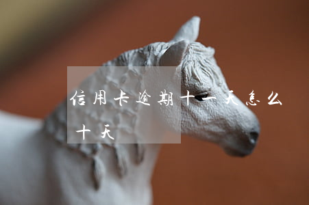 信用卡逾期十一天怎么辦(信用卡不小心逾期十天)