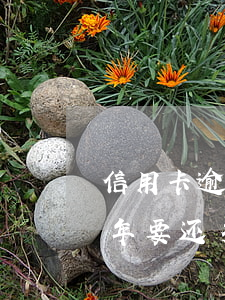 信用卡逾期十万会怎样(信用卡10万逾期一年要还多少)