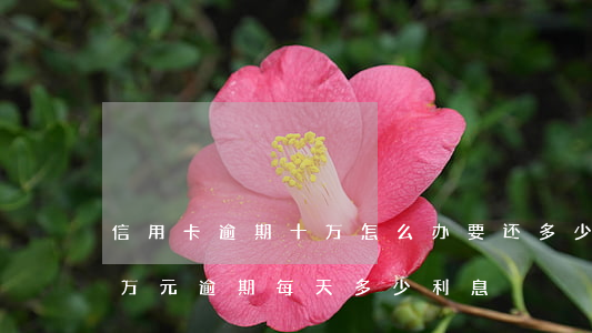信用卡逾期十万怎么办要还多少(信用卡10万元逾期每天多少利息)