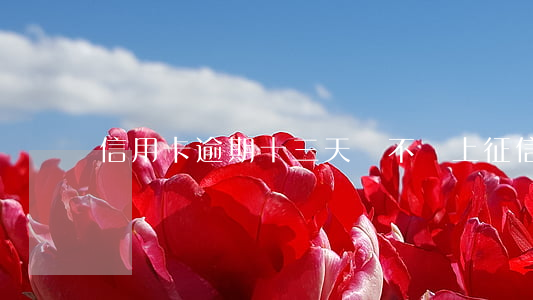 信用卡逾期十三天會不會上征信