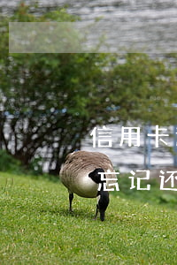 信用卡逾期十九天忘还了(信用卡十块钱逾期忘记还了)