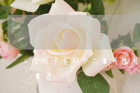 信用卡逾期十二個月(信用卡12塊錢逾期一個月)
