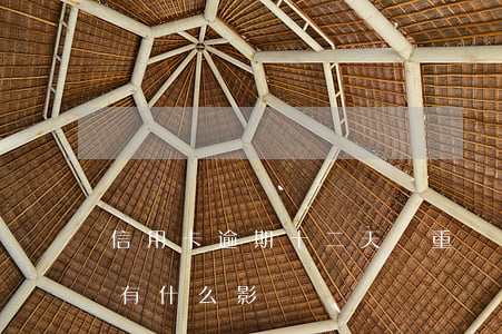信用卡逾期十二天嚴重嗎(信用卡逾期十來天有什么影響)