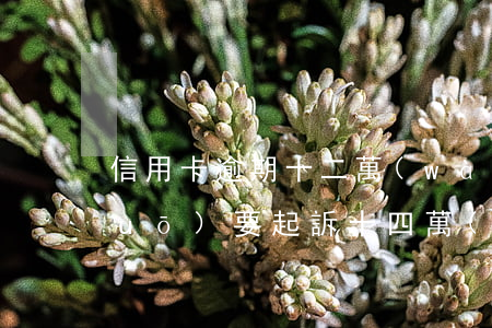 信用卡逾期十二萬(wàn)銀行說(shuō)要起訴(十四萬(wàn)信用卡逾期后果)