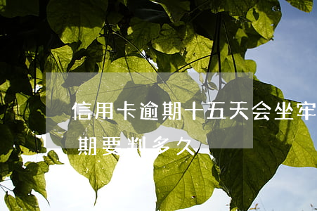 信用卡逾期十五天会坐牢吗(信用卡20万逾期要判多久)