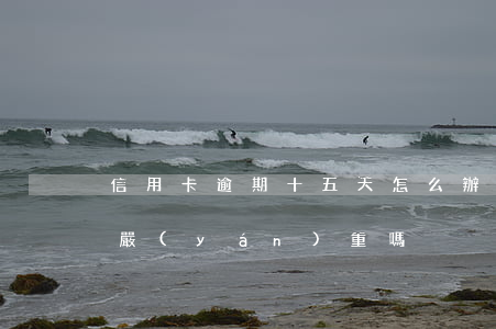信用卡逾期十五天怎么辦(信用卡逾期十二天嚴(yán)重嗎)