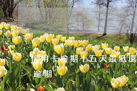 信用卡逾期十五天最低還款(信用卡 最低還款 逾期)