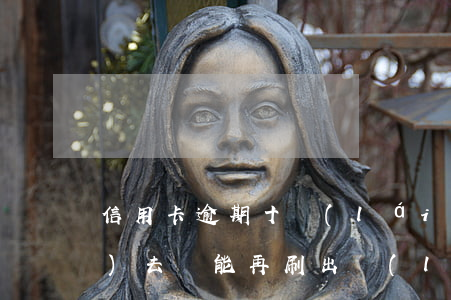 信用卡逾期十來(lái)天還進(jìn)去還能再刷出來(lái)嗎-信用卡逾期十來(lái)天還進(jìn)去還能再刷出來(lái)嗎