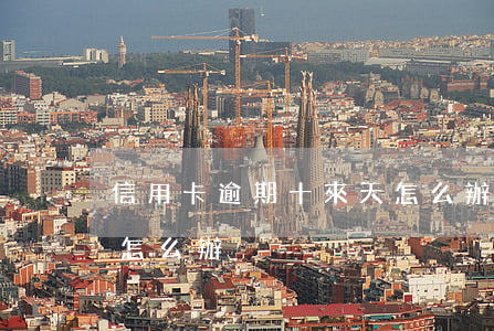 信用卡逾期十來天怎么辦(信用卡逾期十來天怎么辦)