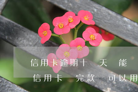 信用卡逾期十來天還能還款嗎-逾期幾年的信用卡還完款還可以用嗎