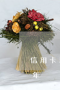 信用卡逾期十元怎么辦(信用卡10元逾期一年)