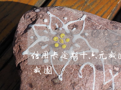 信用卡逾期十六元截图-信用卡逾期十六元截图