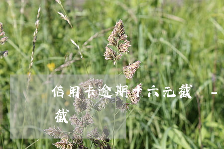 信用卡逾期十六元截圖-信用卡逾期十六元截圖