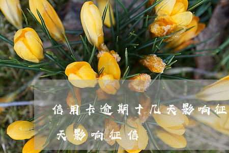 信用卡逾期十几天影响征信（信用卡逾期十几天影响征信）