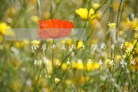 信用卡逾期十几天有不良记录吗-信用卡逾期十几天有不良记录吗怎么办