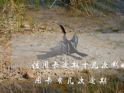 信用卡逾期十几次影响房贷吗(办理房贷时信用卡有几次逾期)