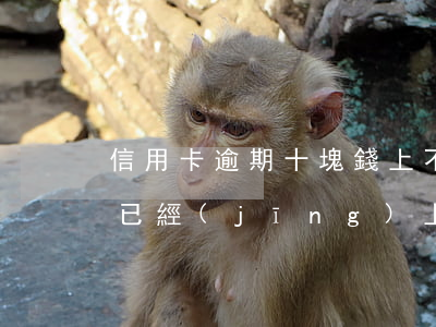 信用卡逾期十塊錢上不上征信(逾期幾十塊錢已經(jīng)上征信了,怎么辦)