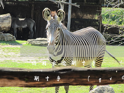 信用卡逾期十多塊錢(qián) 信用卡逾期十多塊錢(qián)