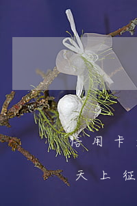 信用卡逾期十多天上征信嗎(信用卡逾期十多天上征信嗎)