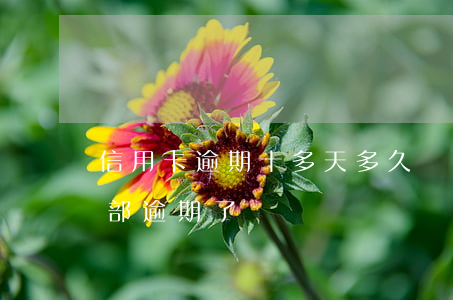 信用卡逾期十多天多久刪除 十幾個信用卡全部逾期了