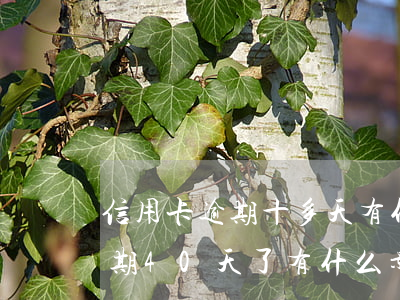 信用卡逾期十多天有什么影響嗎(我信用卡逾期40天了有什么影響)