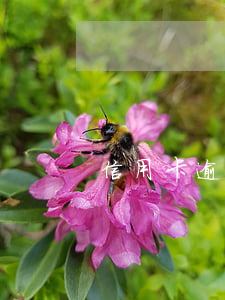 信用卡逾期十天-信用卡逾期十天
