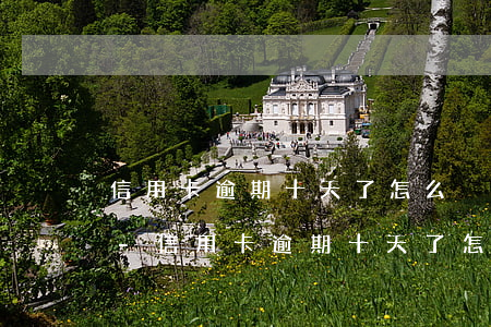信用卡逾期十天了怎么沒(méi)有電話-信用卡逾期十天了怎么沒(méi)有電話催收