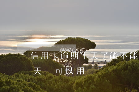 信用卡逾期十天了能不能用(銀行卡逾期十幾天還可以用嗎)