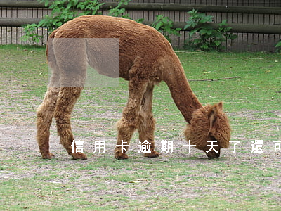 信用卡逾期十天了還可以用嗎