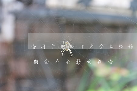 信用卡逾期十天会上征信嘛(信用卡10天逾期会不会影响征信)